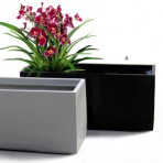 Partition trough with insert on heavy duty wheels