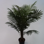 120CM PARADISE PALM