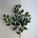 FICUS SPRAY WITH 42 LEAVES