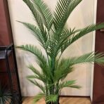 160cm areca palm