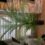 165CM ARECA PALM PLASTIC