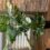 120cm variegated split philo